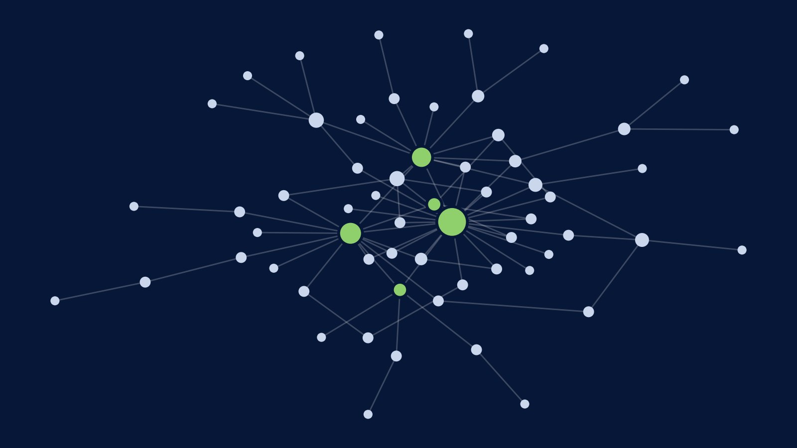 A network drawn with larger circles for the most connected nodes